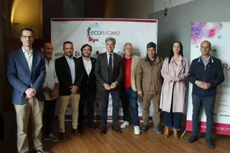 25 años de Ecoracimo en Montilla con récord de muestras catadas