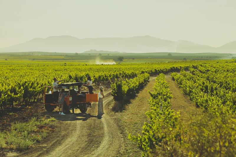 La Ruta del Vino Montilla-Moriles triunfa en los Premios de Enoturismo de España con la Mejor Acción Promocional