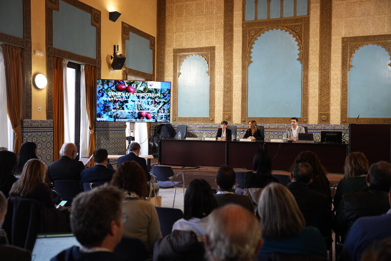 GEN4OLIVE pone los cimientos para la revolución de la mejora genética del olivar