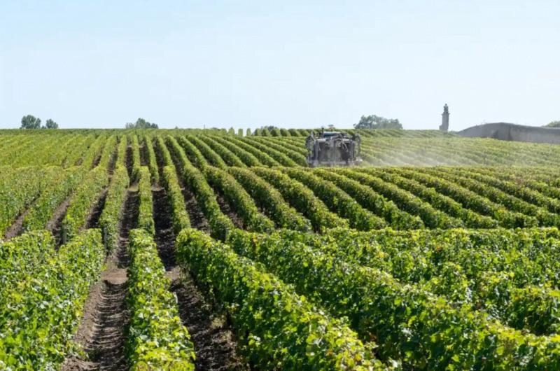 El Ministerio de Agricultura, Pesca y Alimentación convoca las ayudas anuales del Plan Renove de maquinaria agrícola por 9,5  millones de euros